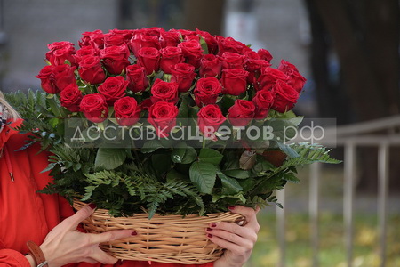 Корзина из 51 красной розы "Быть любимой"